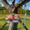 (주)해성환경 | 반려동물 장난감토이 따져보고 결정한 이유