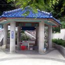 청송달기약수삼계탕 이미지