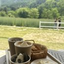 힐링 나들이 | 포천 사르르목장, 달콤한 주말 나들이 (내돈내산)
