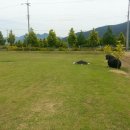 서홍농장 이미지