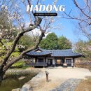 평사리가는길 | 경남 매화 명소 가볼만한곳 하동 평사리 최참판댁 위치 입장료 방문후기