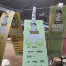 공주 계룡산 동학사 산책 후기 – 2~3시간 힐링 코스 추천