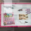 인동38길-4 이미지