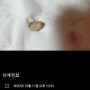 정상현치과의원 이미지