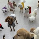 사랑한다, 멍 이미지