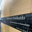 한글게스트하우스 | 삿포로 남자 혼자 여행 와야 게스트하우스 숙소 후기