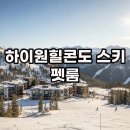 스카이 C동 | 하이원힐콘도 C동&amp;D동: 스키와 펫룸 완벽 가이드