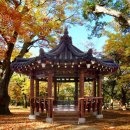(주)청마루 이미지