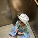 네이처빈 | 4월 끝자락 대구 네이처파크 방문 후기