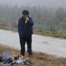 회진농장 이미지