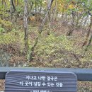 면목다솔내과의원 티스토리