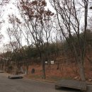 장미원 (산림욕장) 이미지