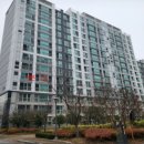 서구-01-29 이미지