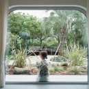 금등첨화 이미지