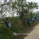 마장 매화둘레길 이미지