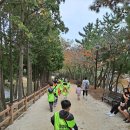 대성태권도 자이점 이미지