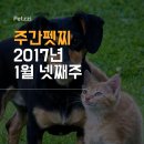 (주)펫찐