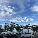 빛나;너 | 포항 영일대 포슐랭 물회 [무레집] 내돈내산 솔직 후기