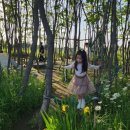 월가 농장 이미지