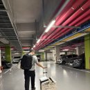 봄날처럼민박 | [구례여행]2026년 봄날의 구례 1일차