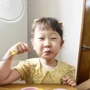 플럼코트 하모니 효능 환희농원 후기