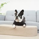 퍼피트리 이미지