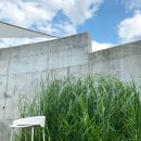 제천체육관야외 이미지