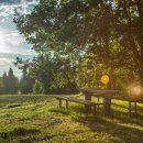 청춘바다 이미지