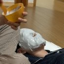 매미캠프 네이버블로그