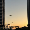 본죽옥련점 | [일기] 뒤늦게 코로나19 처음 확진된 후기(검사, 링거, 증상, 후유증)
