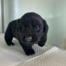 외답6길 이미지