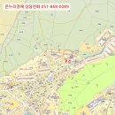 당리동-19 이미지