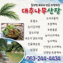 대추나무산장