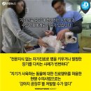 배약국 이미지