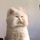 서강정형외과의원 | 홍은동 서강정형외과 목관절 물리치료 접수 주차정보