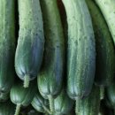 우성농장 이미지