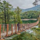 중앙동 28-13 공영주차장 | 마장호수 출렁다리 가을 뷰 / 파주, 양주 공영 주차장 정보 / 근처맛집, 카페 요약