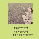 카피아 이미지