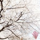 간직하고싶은풍경사진