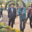 마산가고파 국화축제장 이미지