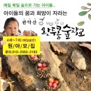 자연이랑자연으로 이미지