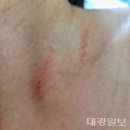 근로복지공단 포항어린이집 이미지