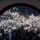 풍경화꽃식물원 이미지