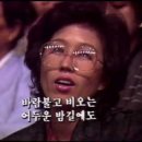 케이피케이 이미지