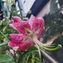 나리뷰티 이미지