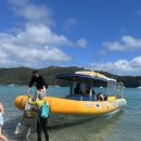 위트선데이 | [250810] 에얼리 비치 #1 (호주) : 그레이트 베리어 리프 헬기+스노쿨링 (겟유어가이드)