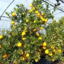 우연농장 이미지