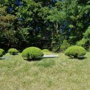(주)평화산소