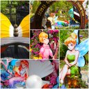 불암산나비정원 이미지