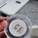 아이스크림멍냥 이미지